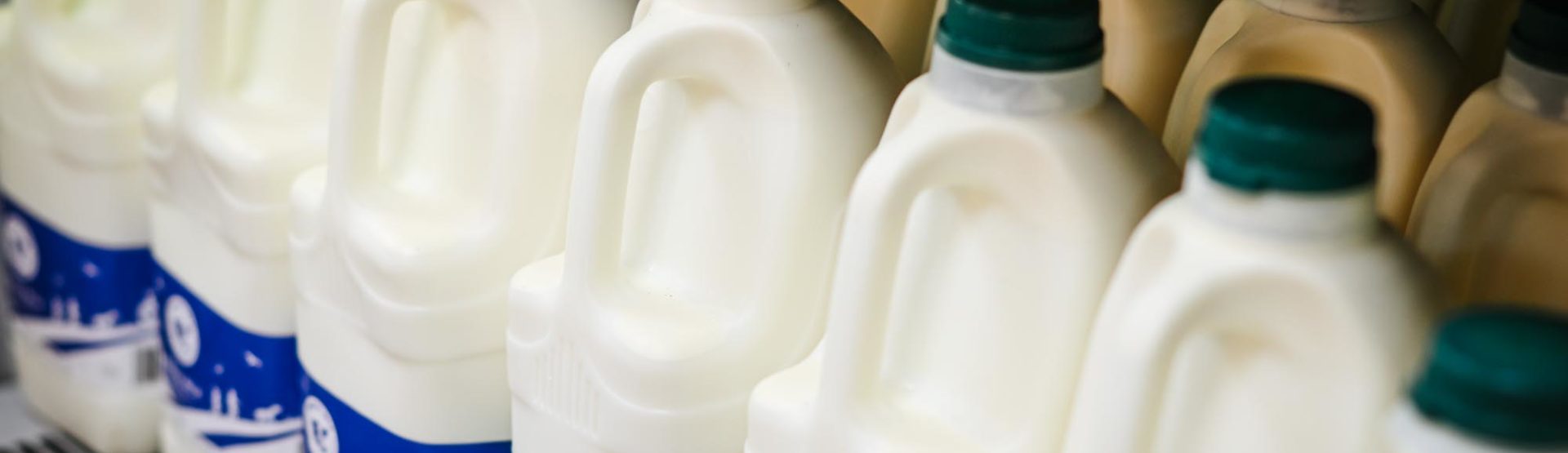 Unhomogenised and pasteurised bottles of British milk