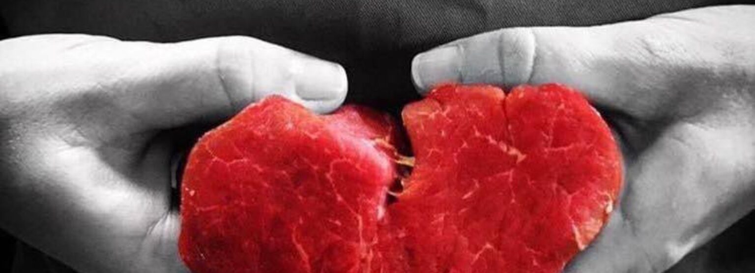British beef in hands