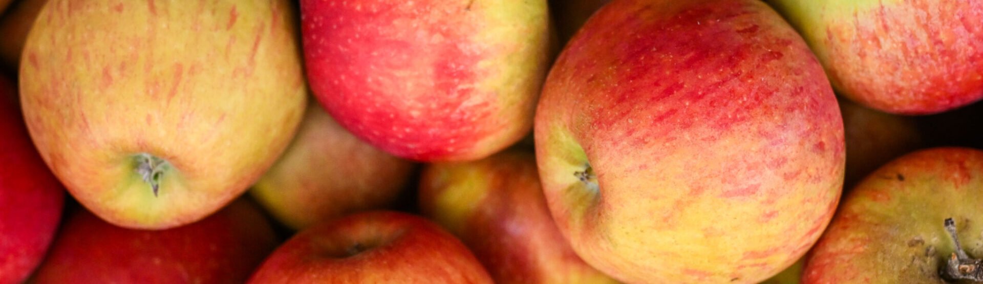 Herefordshire apples