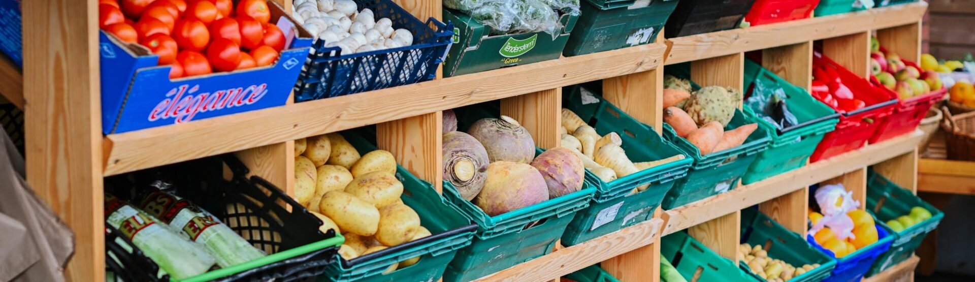 Autumn fruits and vegetables